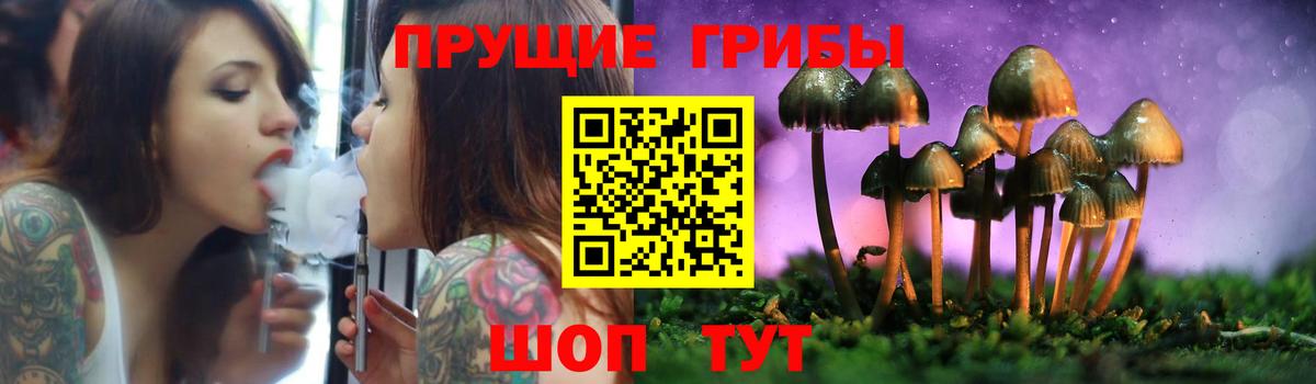 Псилоцибиновые грибы Psilocybe  Вход с VPN  Фрязино 
